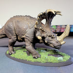 Triceratops Dinosaurs